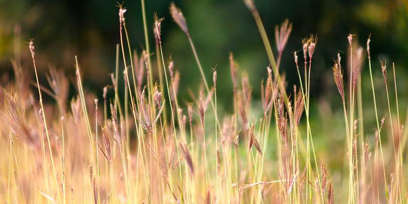 中达财富80：专业资产管理如何为您的投资理财保驾护航