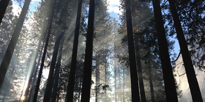 中达财富：以科技创新股权投资重塑财富管理与资产管理的未来格局