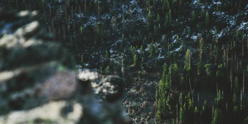 中达财富入门：专业理财服务与资产管理的明智之选