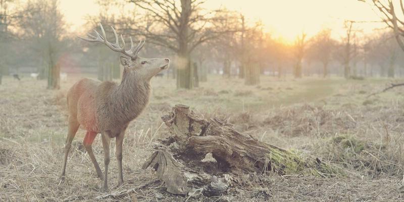 中达财富如何运用大数据与人工智能，重塑精准理财服务与财务规划新范式