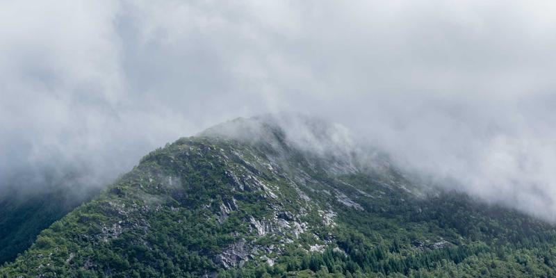 中达财富慈善信托设立指南：专业财务规划与资产管理如何实现财富向善