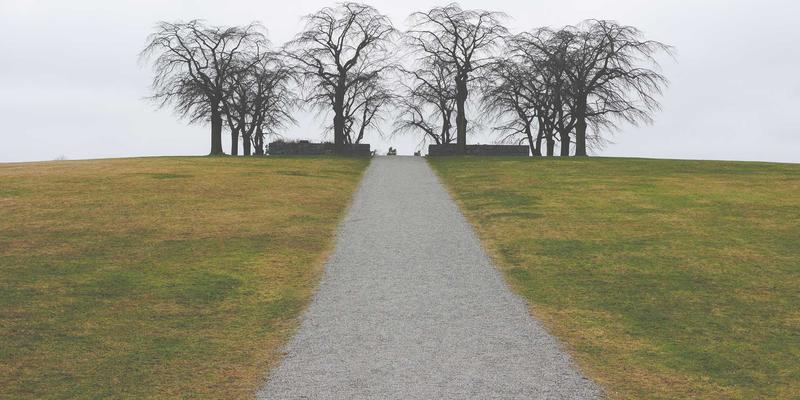 中达财富策略解析：波动市场中，量化对冲如何成为财富管理的稳定器？