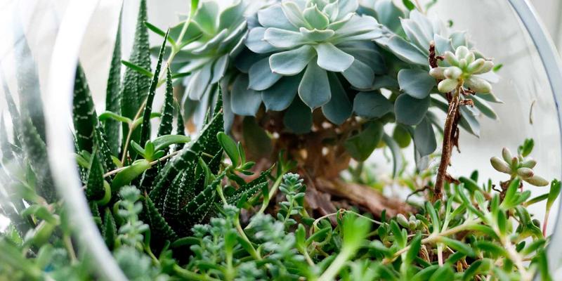 中达财富视角：后疫情时代，医疗健康产业私募股权投资的机遇与挑战