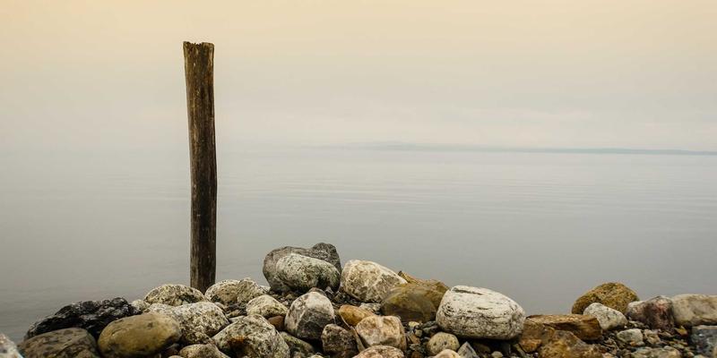 后疫情时代财富管理新思维：中达财富解析全球资产配置策略与区域风险对冲