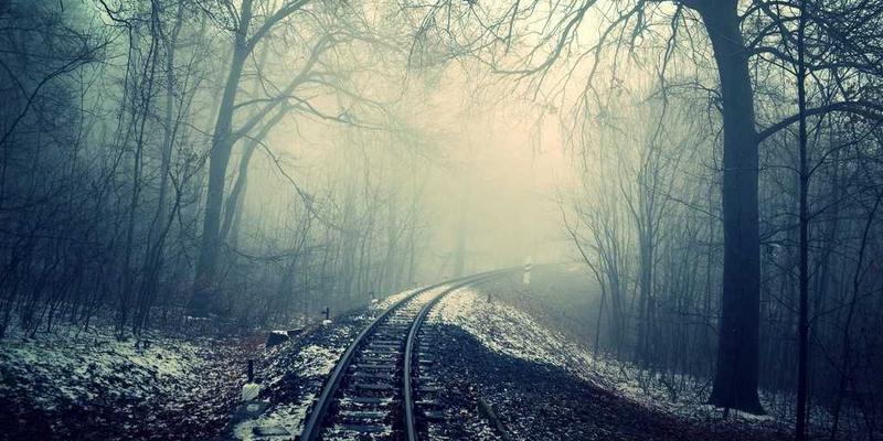 财富管理新视野：中达财富如何借力绿色金融与新能源投资优化您的财务规划